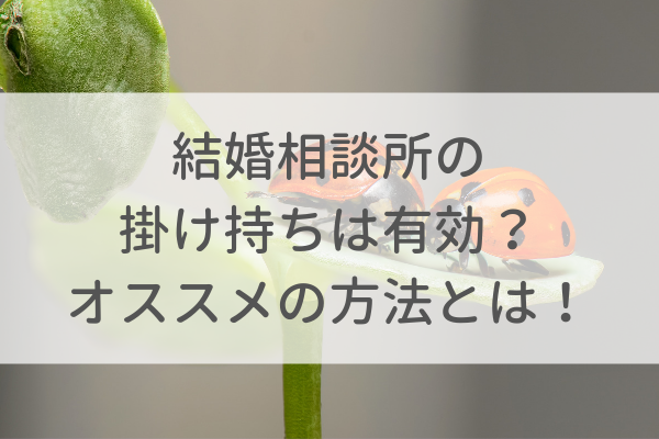 結婚相談所の掛け持ちは有効?オススメの方法を伝授します!